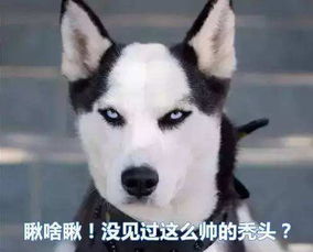  想要吸睛做人群中最亮眼的那颗星,听说你缺这个东西