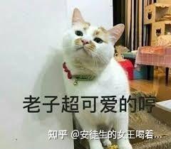 哼可爱表情包老子