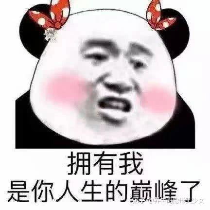 又不理我了表情包送你