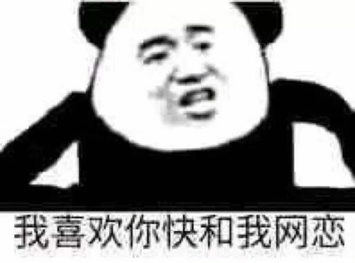 情侣恩爱斗图表情包表白
