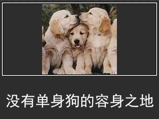 秀恩爱虐狗表情包情人节