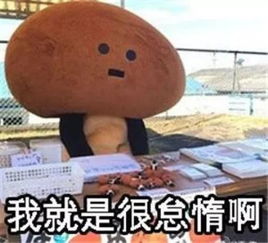  全媒体时代没有绝对的个人也没有绝对的团队