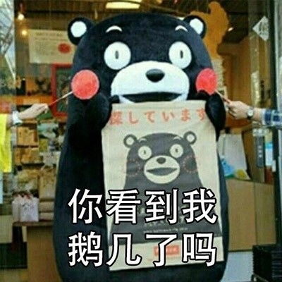 找人的表情包表情