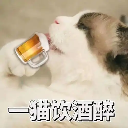 是猫砂还是猫粮粗心老爸竟然给搞混了 是猫砂还是猫粮粗心老爸竟然给搞混了