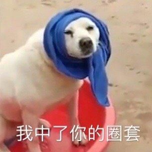早表情包沙雕废纸