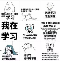  跑男鹿晗模仿雨露均沾火了网友不甘示弱引爆朋友圈