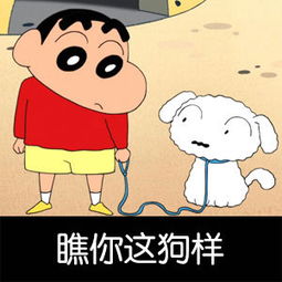  表情与斗图28蜡笔小新表情包