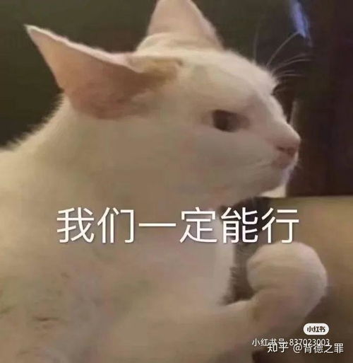  给喜欢女生发了一个想你了的表情,她回复不喜欢别人发这种表情包,她说她很反感这类表情,是不是凉了
