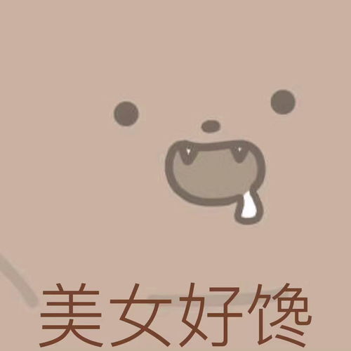  美女专用小熊表情包