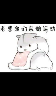  求小仓鼠hamham的表情包老公老婆,小娘子,夫君君系列的