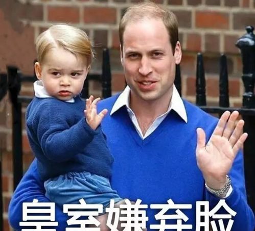  英国皇室表情包属性传染吗凯特王妃变表情包,乔治傲娇脸
