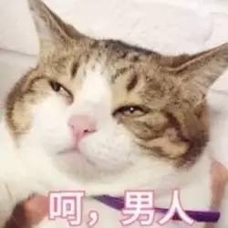  今日神段丨看到大家沟通起来不是一个频道,我就放心了