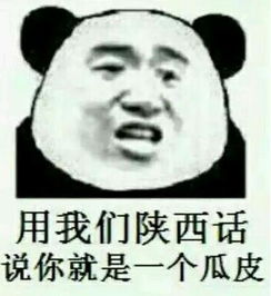  用我们东北话讲你就是一个山炮表情包下载用我们东华话讲你就是一个山炮表情包高清无水印极光下载站