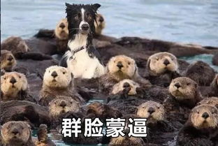  高考作文出炉网友已懵圈那些年的考题