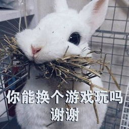  你不卸载我卸载好吗,你能换个游戏玩吗谢谢