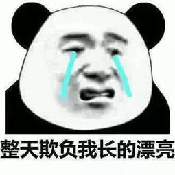  qq斗图必备表情包连豆腐都有脑,而你却没有