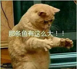  钓鱼珍藏多年钓鱼表情包,钓友们速速收藏起来