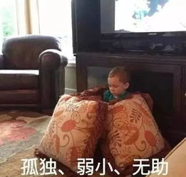  一条假笑男孩gavinthomas的表情包合集祝大家小长假快乐