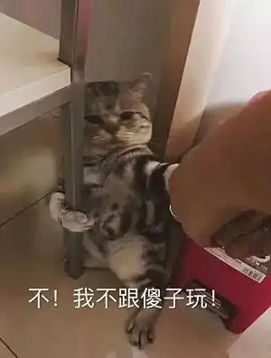 小租心丨室友想搬走,然后我碰到了淡季,呜呜呜 小租心丨室友想搬走,然后我碰到了淡季,呜呜呜