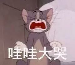  猫和老鼠表情包简直生无可恋