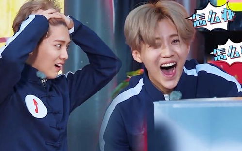 鹿晗跑男表情包傻狍子