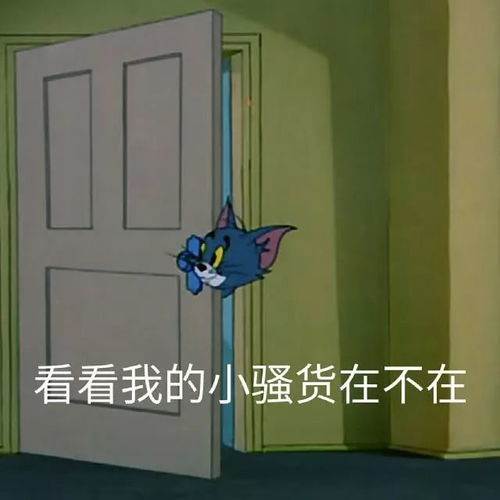  猫和老鼠表情包合集