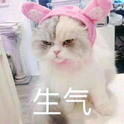  神爱世人,我只爱溺