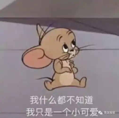 21岁女孩全职当狗月入近百万我喜欢到处打滚爬行 21岁女孩全职当狗月入近百万我喜欢到处打滚爬行