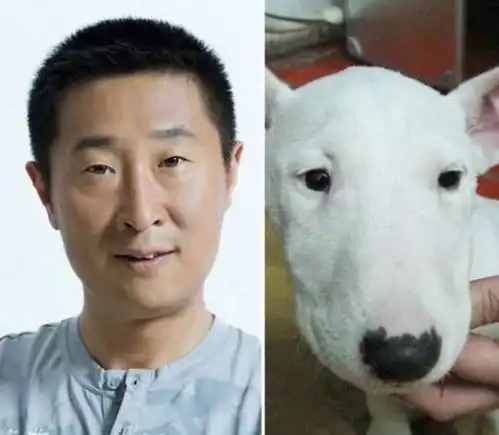 林永健牛头梗是怎么回事 林永健牛头梗是怎么回事