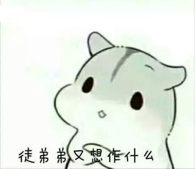 呀,我太可爱了,吸引了那么多人
