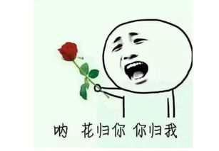  怎么追女孩啊