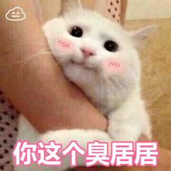  搞笑表情包你跟我说这些没用用,因为我只是一只猫