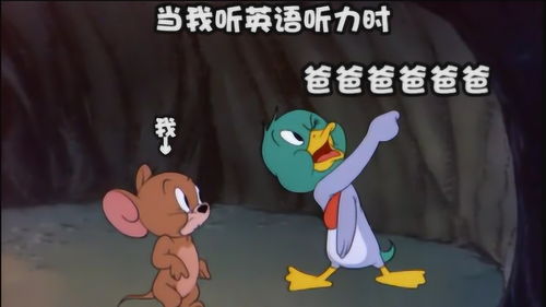  当你听英语听力时