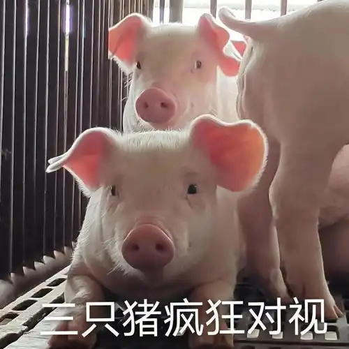 超可爱的情侣系列表情包如何让你喜欢上我 超可爱的情侣系列表情包如何让你喜欢上我