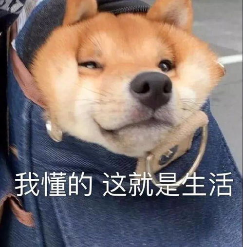  囧哥明码飙架成都司机吵架前先亮绿码