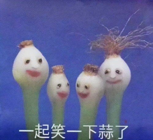  你以为的素食主义,可能是一场骗局