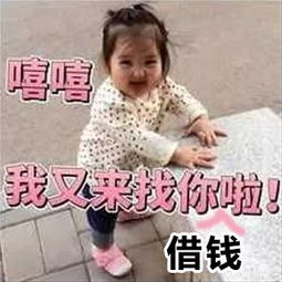  618手剁没了不要怕,这有一套超实用的骗钱表情包帮你回血