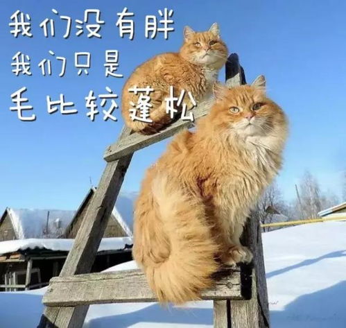  开心一刻笑话刚才在切土豆,不小心切到手了