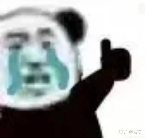  如何养护腿毛,我的腿毛又黑又密又长,但我觉得还是差一点,少数舍友的腿毛只比我少一点点,我很怕被超越