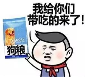  爆料520全民表白日,新兴伙伴们这样向另一半表白