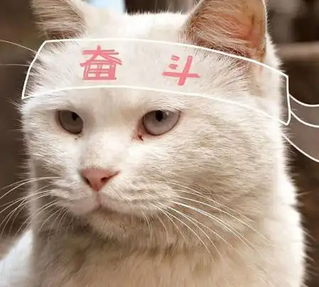 acca如何备考融跃教育cfafrmaccacpa培训 acca如何备考融跃教育cfafrmaccacpa培训