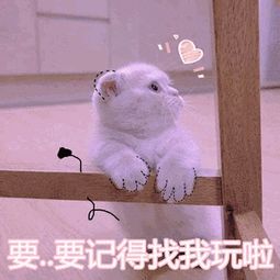  明星爱豆的癖好迷,看完这些你还爱你的爱豆吗