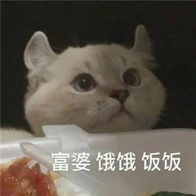  2022年很有趣的沙雕聊天表情大全