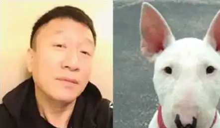 当狗狗长了一张明星脸,你看这个狗它既像孙红雷又像林永健 当狗狗长了一张明星脸,你看这个狗它既像孙红雷又像林永健