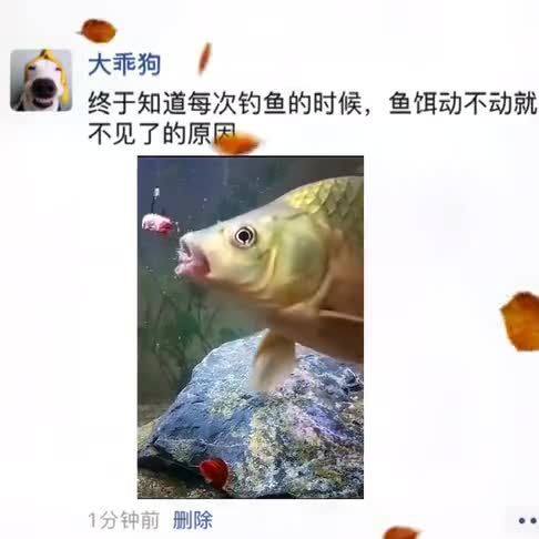 终于知道钓鱼的时候鱼饵为什么会动不动就不见了,在这里破案了