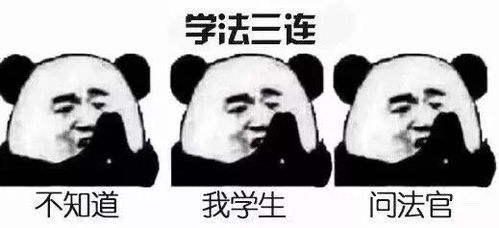  当年选专业时脑子进的水,如今都变成了表情包