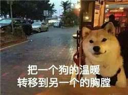  孤单背影狗图片微信头像图片大全