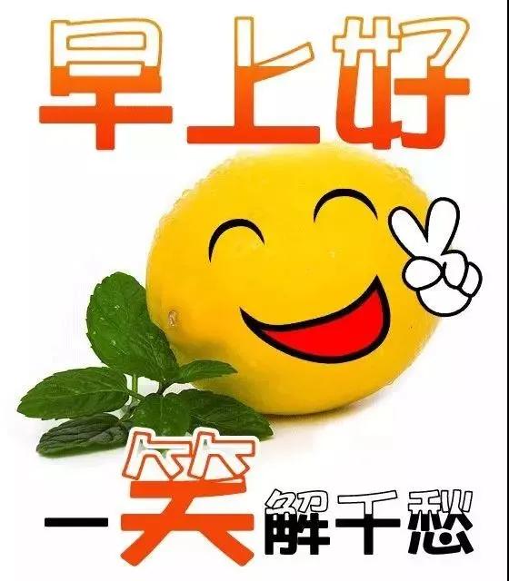  9月28日最美早上好动态图片带鲜花清晨早上好动态表情图片大全