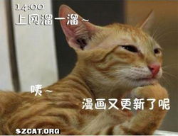  卷卷猫妹妈aacszcatpowereddiscuz