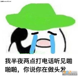  你老婆去做头发了表情包王思聪不说了我去做头发了表情包图片下载乐游网游戏下载